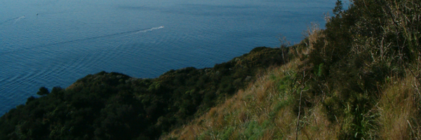 Isole Flegree in Barca a Vela