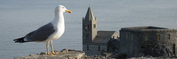 Portovenere in Barca a vela